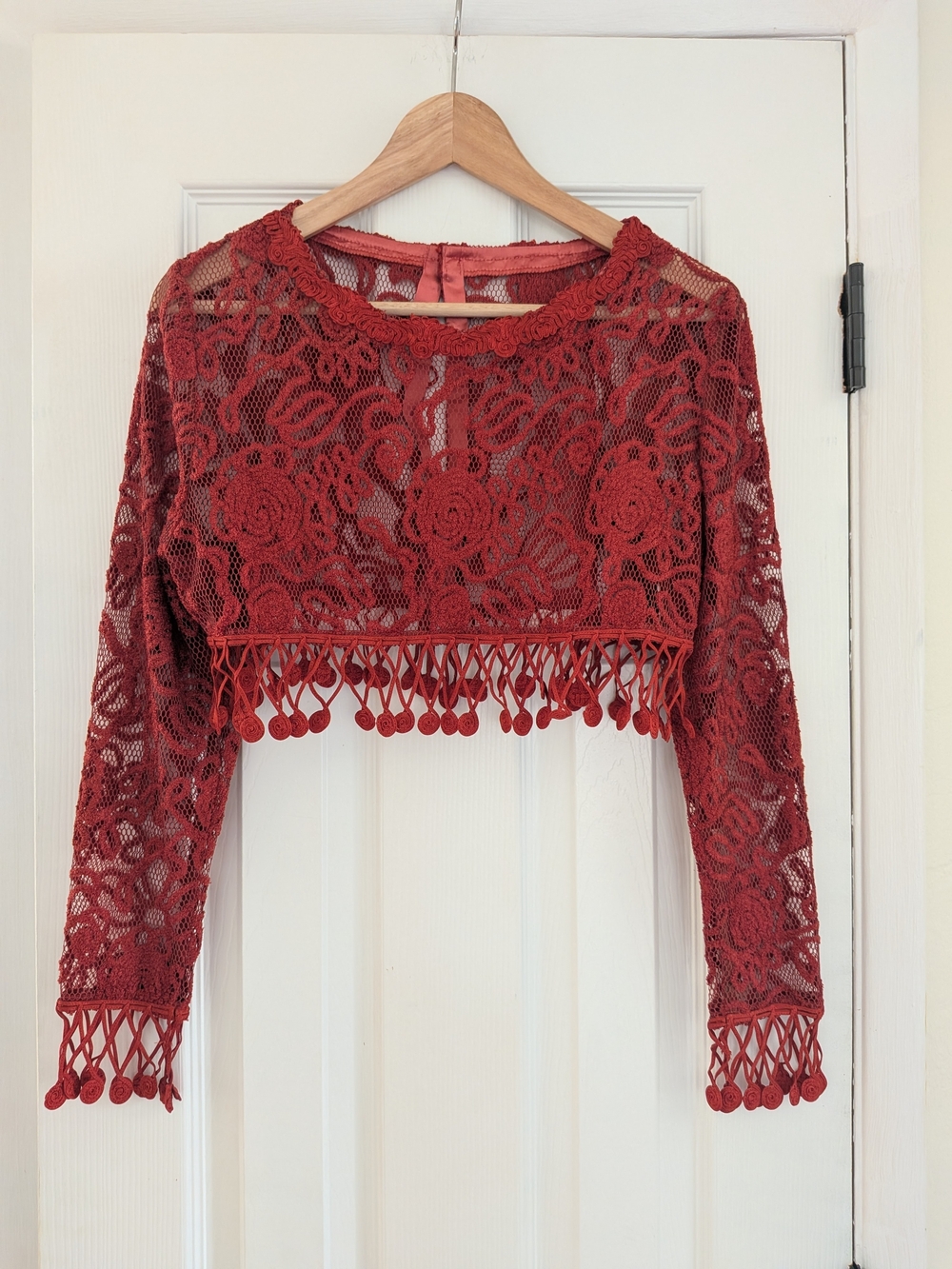 Women's Vintage Style Red Lace Rose Print Crop Top Long Sleeve Shirt Size Small